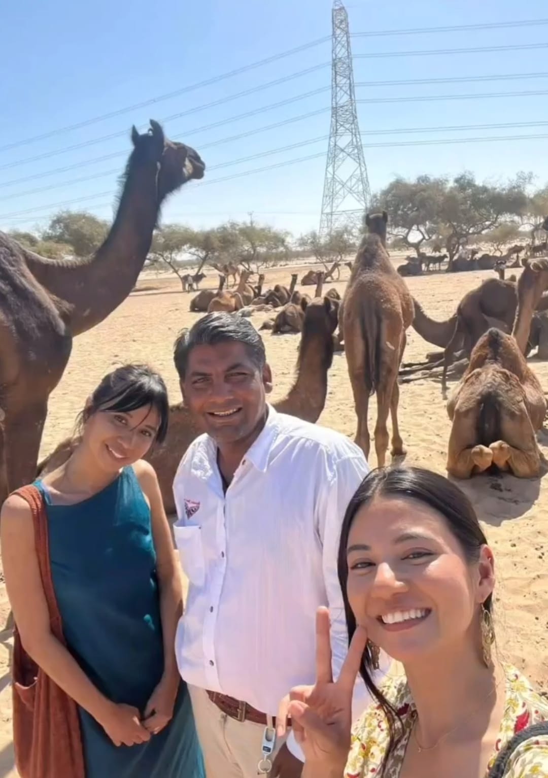 Three people taking a photograph together with camels resting and standing in sandy surroundings.
