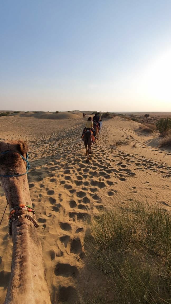 View from camelback as riders travel in a line along a sandy dune track