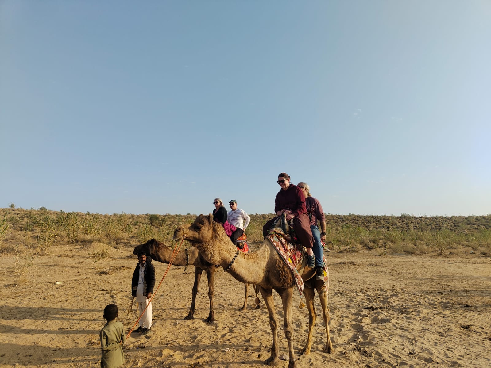 Camel Safari