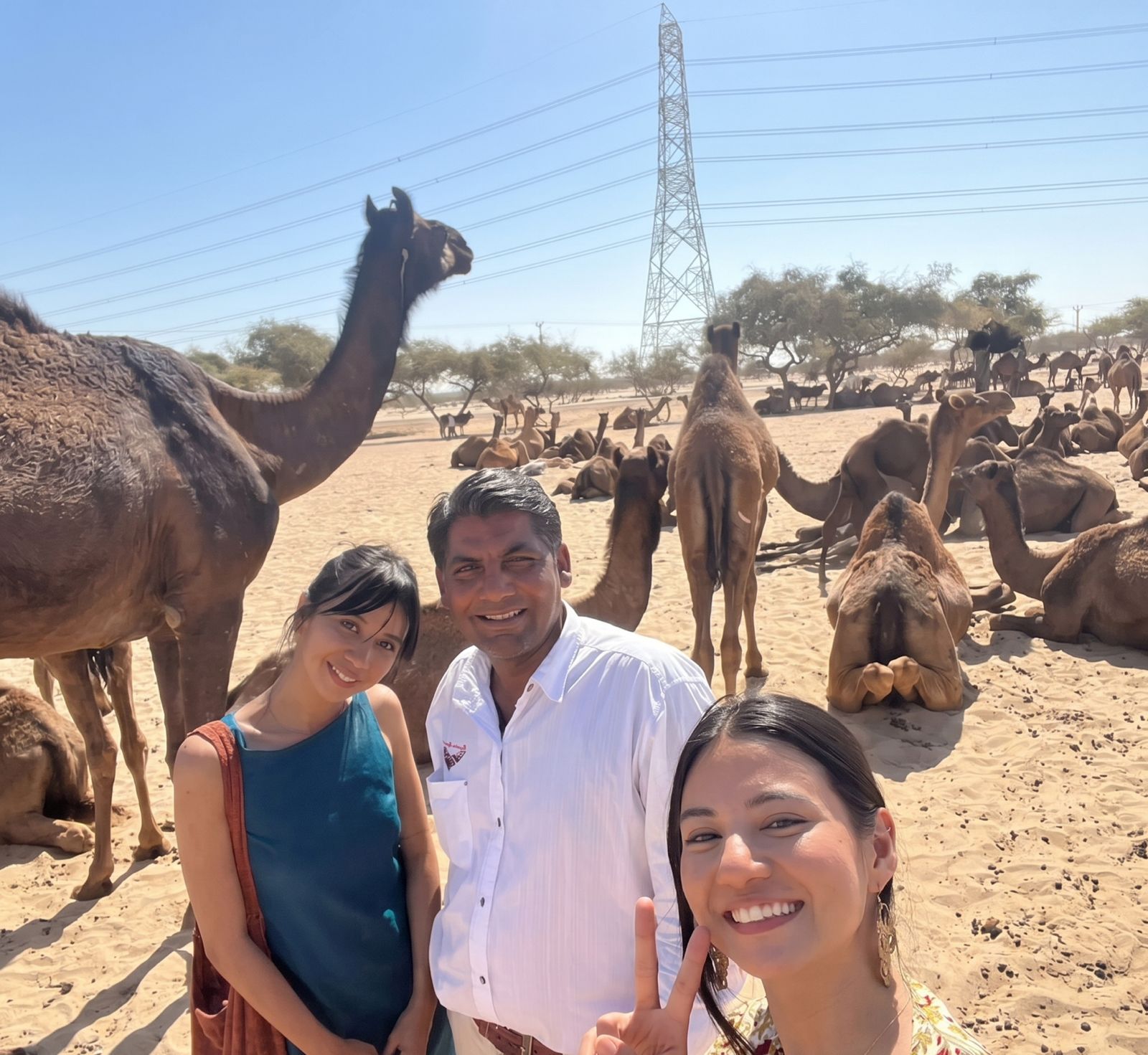 Jaisalmer Desert Safari & Taxi Service | Golden Dunes Travel